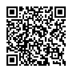能够接触顶级修炼秘籍的弟子个个都是圣人君子二维码生成