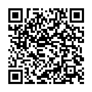 能够提升到现在的境界已经大大出乎杨戬的意料之外了二维码生成