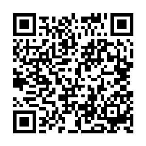 能够有反哺保护它们弱时的强大冰雪生命的力量二维码生成