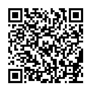 能够炼制成辅助突破金丹期瓶颈的丹药所需的药材二维码生成