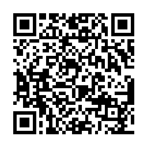 能够用这么美味的佳肴招待过去的那些同事和邻里们二维码生成