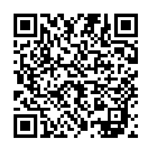 能够真正上战场发挥作用的怎么也得是仙君以上的修士二维码生成