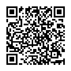 能够真正让她正眼想看的人也只有上官幕儿一个人了二维码生成