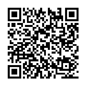 能够篡位成功的毫无疑问都是买通了握有兵权的人二维码生成