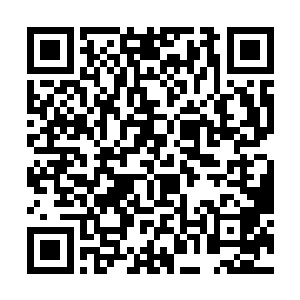 能够觉醒魔形术士已经是幸运精灵强行催动的效果了二维码生成