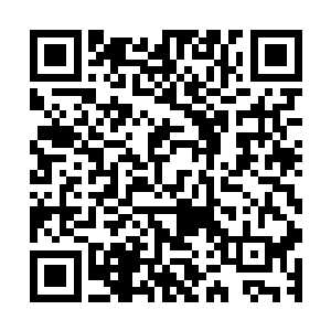 能够认识三元藤……这应该是一个对药物很有些认识的高手啊二维码生成