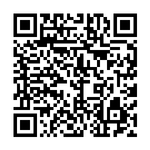能够让云梦之境的三位始祖牺牲掉自己而给自己泄露的天机二维码生成