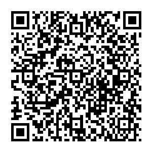能够让你想帮助的那些因为先天或者后天性残疾没法听到看到的孩子们都能够部分甚至全部恢复他们的感官二维码生成