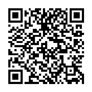 能够调动起整个国家的摇滚乐迷都加入两支乐队的销量之中二维码生成