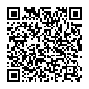 能够跨越无尽距离并且在他们魂海之中进行意识交流的的大能真不多二维码生成