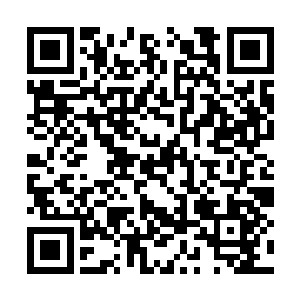 能够辨别出送去的孩子是不是这一代最出色的天才二维码生成