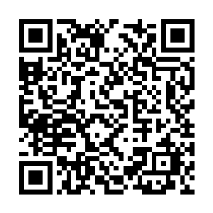 能够这么多年都排在第三的位置上屹立不倒的家族二维码生成