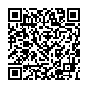 能够进入应劫境界……可我们没有足够的经验呀二维码生成