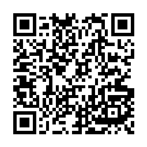 能够闹出这么大波浪的海兽一定是一头大型海兽二维码生成