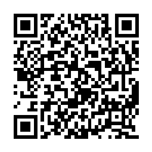 能将下面大片河滩和这一段江流的全貌一览无遗二维码生成