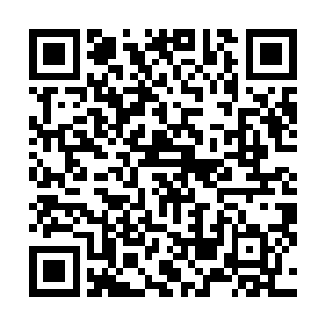 能将大大小小的螺丝刀以及装满了钉子的皮囊都挂在上面二维码生成