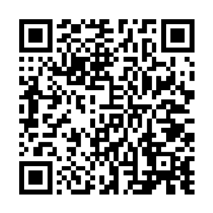 能将这头金毛狮王驯服成自己的妖宠是他自觉最得意的事二维码生成