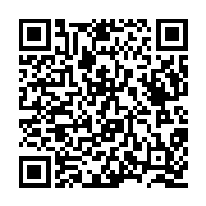 能强大到让琅飞师觉得自己就是一只卑微的蚂蚁二维码生成