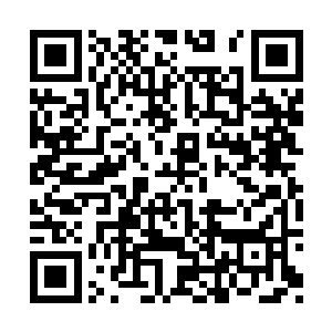 能成为这内门子弟是许多女术师求之不得的事情二维码生成