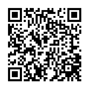 能打到这个分段的人即使再菜也不是一般人能比的二维码生成