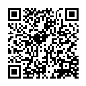 能把压制了真元的凝脉期武者震退就已经很不错了二维码生成