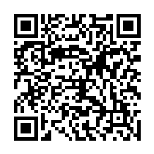 能来到这里行走的都是江湖中一些颇有实力的武修二维码生成