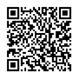 能来参加星宿海戡乱会的鬼修显然不是妙法寺那个女鬼能比的二维码生成