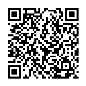 能登上纽约时装周秀场的品牌又怎么会名不见经传二维码生成