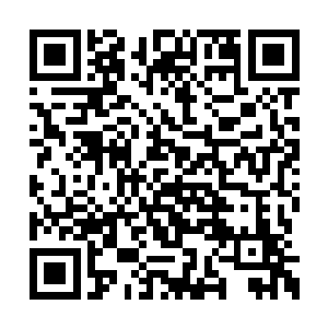 能看到他们在乱世之中依然拥有免除恐惧的自由二维码生成