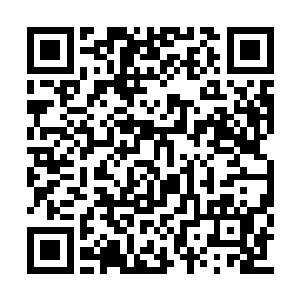 能看到对方就觉得很幸福的人……梓箐只能呵呵二维码生成