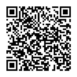 能看到自己几十次轮回甚至几百几千次轮回之前斑斑驳驳的浮光掠影二维码生成