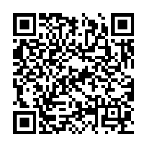能给我们讲一讲当初共同经历的有趣或惊险事情吗二维码生成