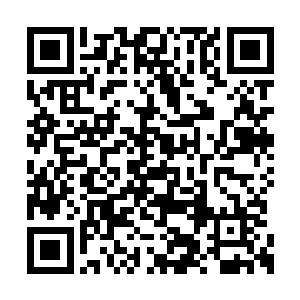 能被镇国长公主放在身边的闺秀都是优秀的女子二维码生成