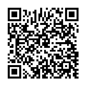 能观察到敌人……然后安静等待我的命令……谁都不许开枪二维码生成