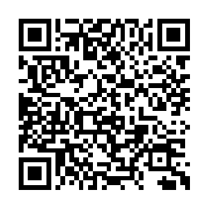 能解析并消化吸收整整一百代先驱者的文明精华二维码生成