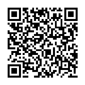 能让佩戴者身体力量的恢复速度增加百分之十八二维码生成