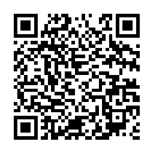 能让叶楚如此天赋的人晋级元灵境暴动出如此异状二维码生成
