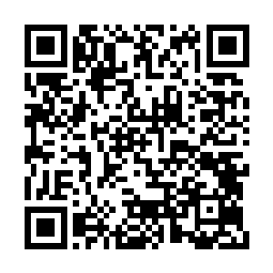 能让狼瞳队堡垒抵抗住内城区队伍的潜入和刺杀二维码生成