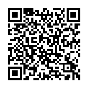 能购买多少淬炼肉身修炼鸿蒙刀决的天材地宝啊二维码生成