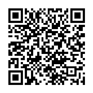 能跟实力深不可测的魔宗圣女战斗到那种程度而不吃亏二维码生成