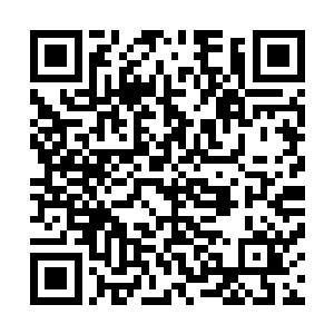 能躲避法力无边修士追杀还能在地狱活到现在的人岂能放过二维码生成