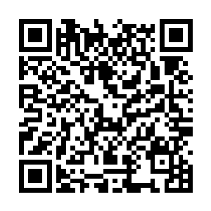 能追随彭子在遮天盟这种级别的地下势力生存下来二维码生成