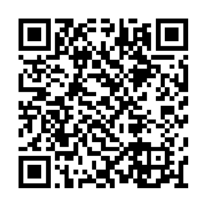 能量手套便立即成为了当年圣诞节的最热门商品二维码生成