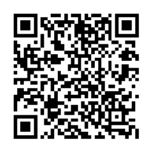 能量球这才在小淘气的控制之下消散在虚空之中二维码生成