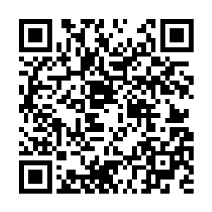 脉轮空间内已经堆积了大量炼化吸收到的地之元素二维码生成