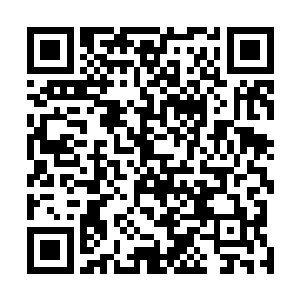 脏兮兮的小手上居然捧着一个藏了好久的窝窝头到他面前二维码生成