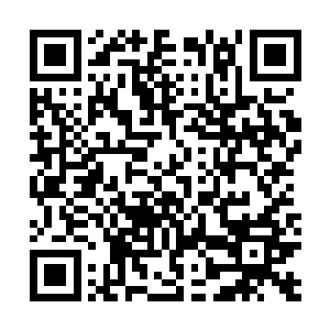 脑中不由得想起了五师姐苏琪让自己去看一看紫韵的意思二维码生成