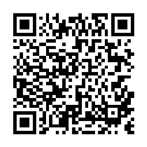 脑中却幻想舟不平看到这个作品后气得哇哇大叫的场景二维码生成