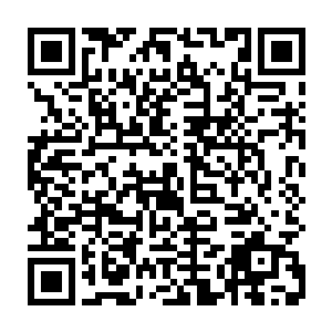 脑子没坏掉的人都会知道这九条规则对部落所有想要好好过日子的人只有好处二维码生成