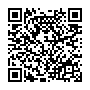 脑子里慢慢地回忆起关于北地那个公国的一些信息二维码生成